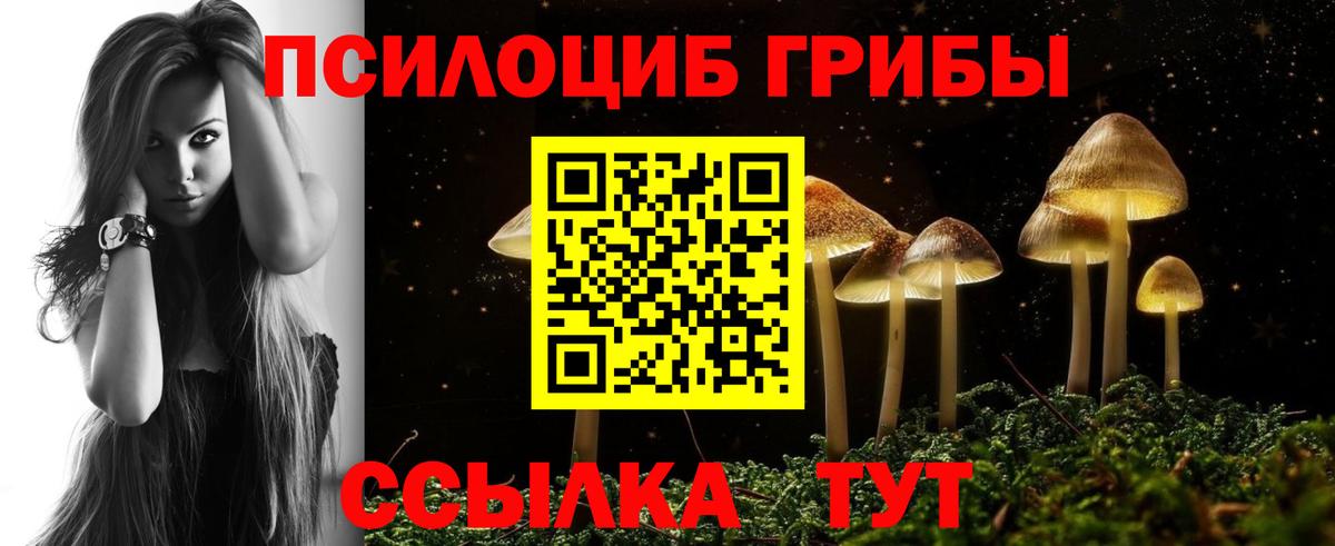 Курганинск  Псилоцибиновые грибы GOLDEN TEACHER  Вход с VPN 
